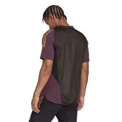 Camiseta Adidas Alemania Training Mundial Qatar 2022 8 Camiseta Adidas Alemania Training Mundial Qatar 2022 -JUMA Deporte Comercio camiseta adidas alemania training mundial qatar 2022 shadow maroon 3