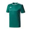Camiseta Adidas Entrada 18 M/c