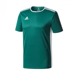 Camiseta Adidas Entrada 18 M/c