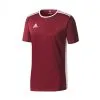 Camiseta Adidas Entrada 18 M/c