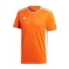 Camiseta Adidas Entrada 18 M/c