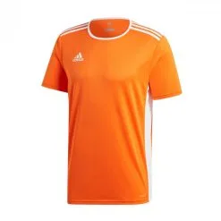 Camiseta Adidas Entrada 18 M/c