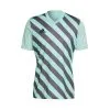 Camiseta Adidas Entrada 22 GFX M/c