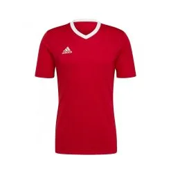 Camiseta Adidas Entrada 22 M/c Niño