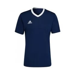 Camiseta Adidas Entrada 22 M/c