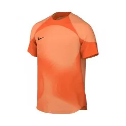 Camiseta Nike Gardien IV GK M/c