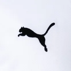 Camiseta Puma Borussia Mönchengladbach Primera Equipación Replica 2022-2023 8 Camiseta Puma Borussia Mönchengladbach Primera Equipación Replica 2022-2023 -JUMA Deporte Comercio camiseta puma borussia monchengladbach primera equipacion 2022 2023 white black power green 3