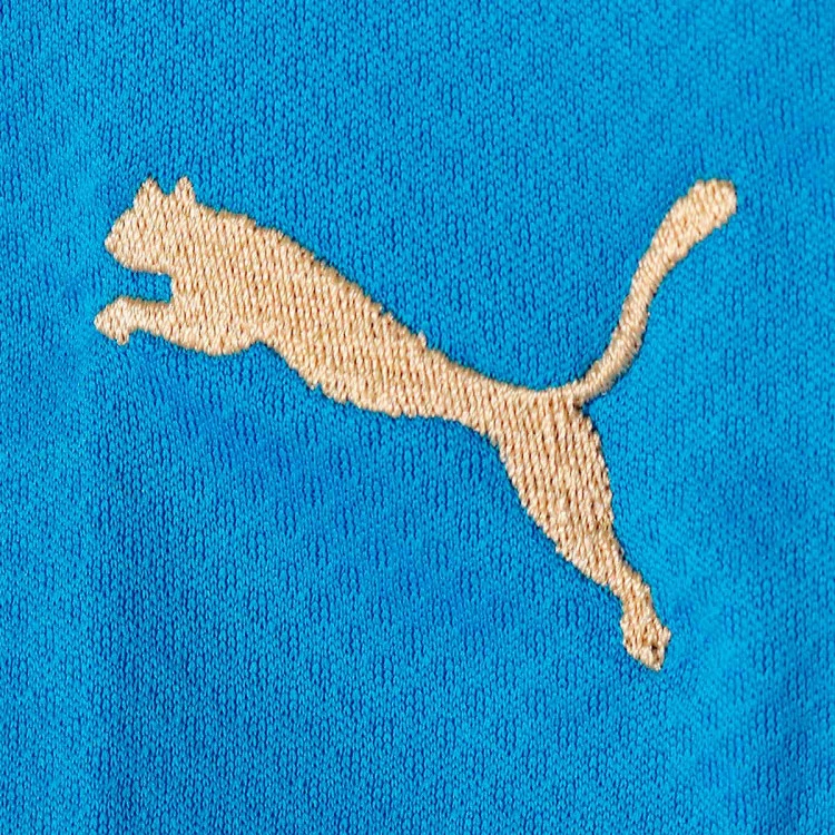 Camiseta Puma Italia Primera Equipación Replica 2022-2023 5 Camiseta Puma Italia Primera Equipación Replica 2022-2023 - Imagen 5