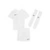 Conjunto Nike Park Niño
