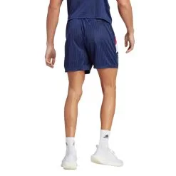 Pantalón Corto Adidas Ajax De Ámsterdam Fanswear Icon 8 Pantalón Corto Adidas Ajax De Ámsterdam Fanswear Icon -JUMA Deporte Comercio pantalon corto adidas ajax de amsterdam fanswear 2022 2023 night sky 2