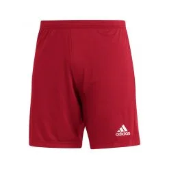 Pantalón Corto Adidas Entrada 22 Niño