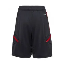Pantalón Corto Adidas FC Bayern De Múnich Training 2022-2023 Niño 6 Pantalón Corto Adidas FC Bayern De Múnich Training 2022-2023 Niño -JUMA Deporte Comercio pantalon corto adidas fc bayern de munich training 2022 2023 nino night grey 1