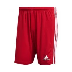 Pantalón Corto Adidas Squadra 21