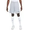 Pantalón Corto Nike Dri-Fit Strike