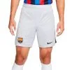 Pantalón Corto Nike FC Barcelona Tercera Equipación Stadium 2022-2023