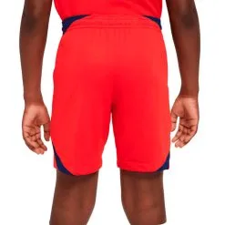 Pantalón Corto Nike Inglaterra Segunda Equipación Stadium Mundial Qatar 2022 Niño 5 Pantalón Corto Nike Inglaterra Segunda Equipación Stadium Mundial Qatar 2022 Niño -JUMA Deporte Comercio pantalon corto nike inglaterra segunda equipacion stadium mundial qatar 2022 nino challenge red blue void blue fury 2