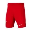 Pantalón Corto Nike Liverpool FC Primera Equipación 2023-2024 Niño