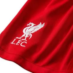 Pantalón Corto Nike Liverpool FC Primera Equipación 2023-2024 Niño 5 Pantalón Corto Nike Liverpool FC Primera Equipación 2023-2024 Niño -JUMA Deporte Comercio pantalon corto nike liverpool fc primera equipacin 202324 nio gym red 2