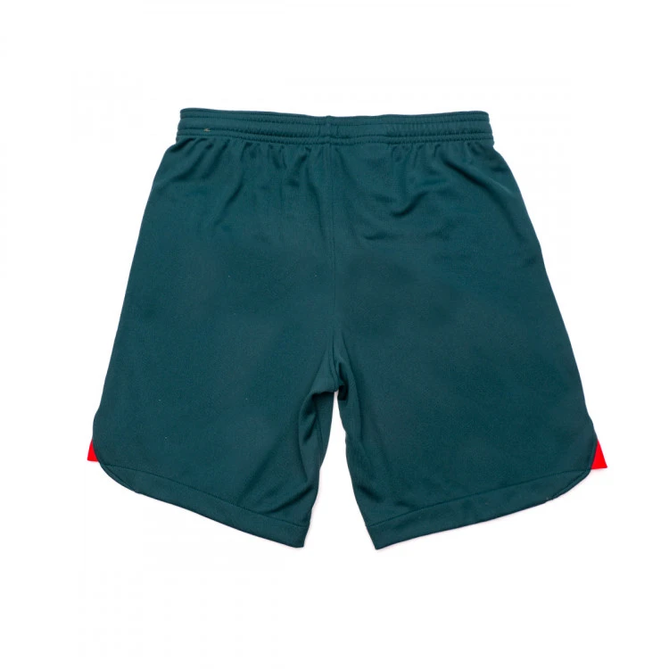 Pantalón Corto Nike Liverpool FC Tercera Equipación Stadium 2022-2023 Niño 2 Pantalón Corto Nike Liverpool FC Tercera Equipación Stadium 2022-2023 Niño - Imagen 2