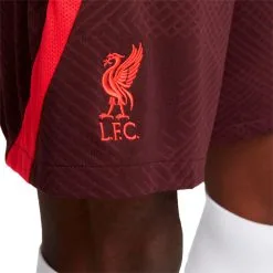 Pantalón Corto Nike Liverpool FC Training 2022-2023 7 Pantalón Corto Nike Liverpool FC Training 2022-2023 -JUMA Deporte Comercio pantalon corto nike liverpool fc training 2022 2023 burgundy crush siren red 2
