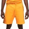 Pantalón Corto Nike PSG X Jordan Fanswear