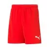 Pantalón Corto Puma TeamRISE