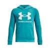Sudadera Under Armour UA Rival Fleece Hoodie Niño